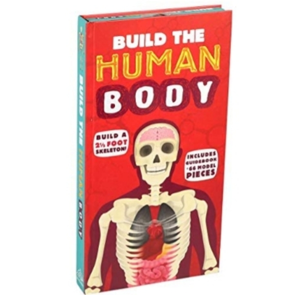 Toys New Build The Human Body Kit Book Poshmark